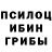 Псилоцибиновые грибы Magic Shrooms Asxab Ramazanov