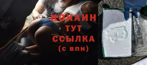 дмт Карпинск