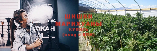 дмт Карпинск
