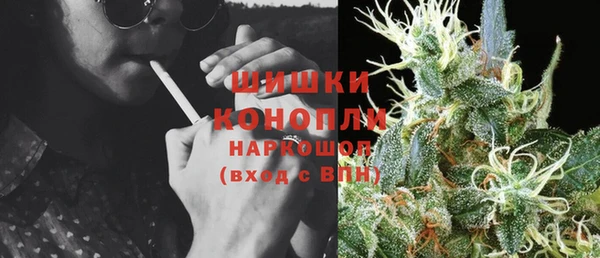 дмт Карпинск