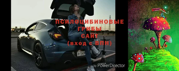 дмт Карпинск