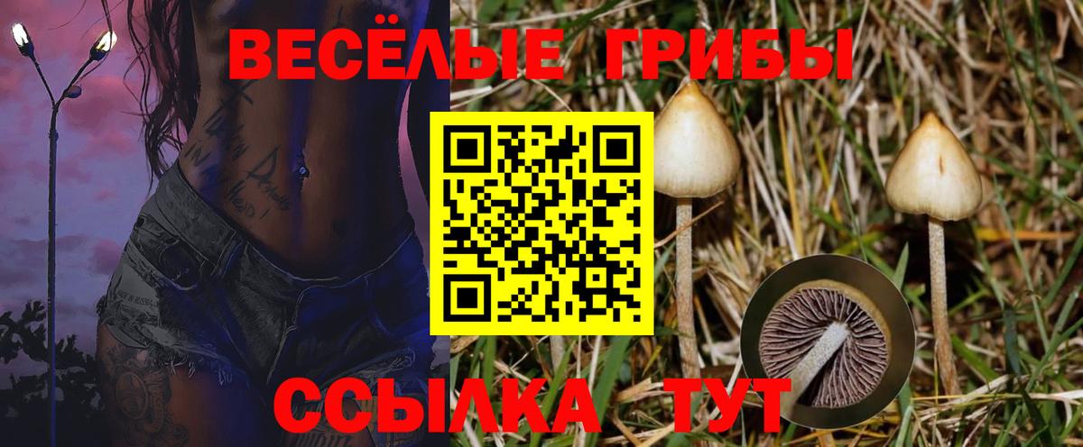 Удомля  дарнет шоп  Вход с VPN  Галлюциногенные грибы MAGIC MUSHROOMS 